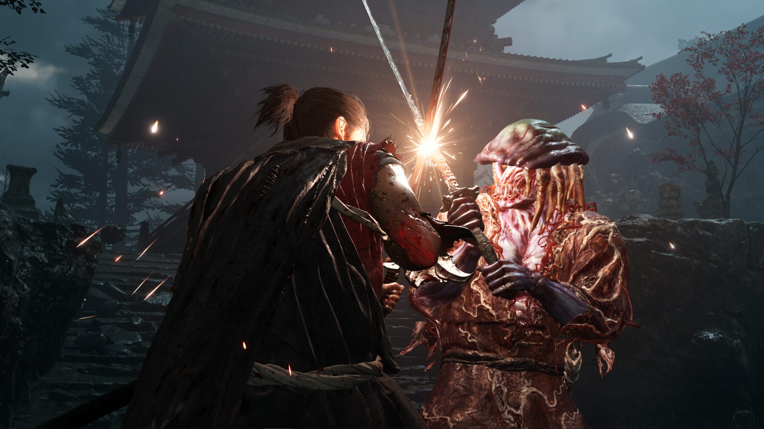 Capture officielle 2 de Onimusha: Way of the Sword