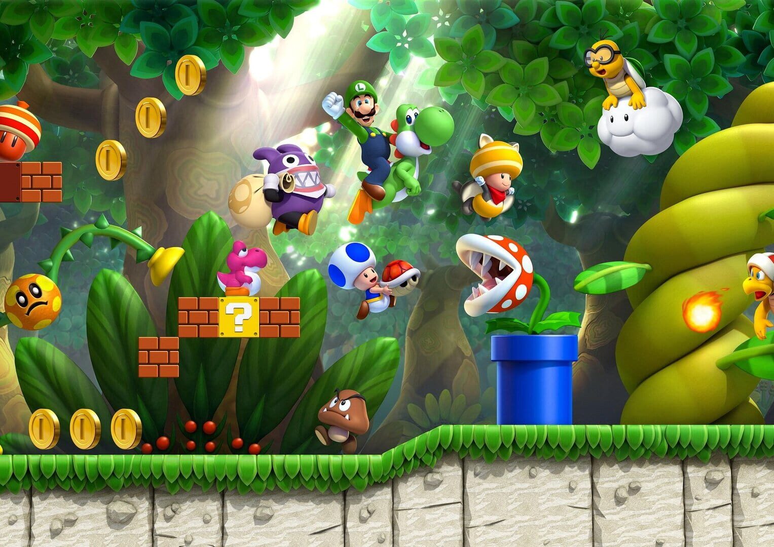 Illustration de New Super Luigi U