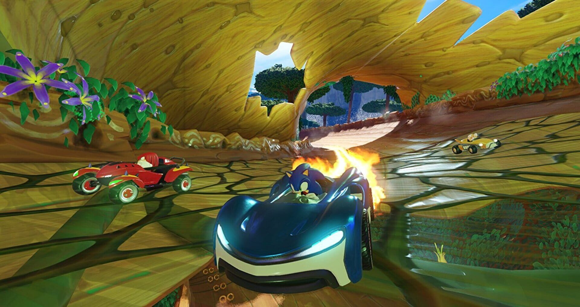 Illustration de Team Sonic Racing