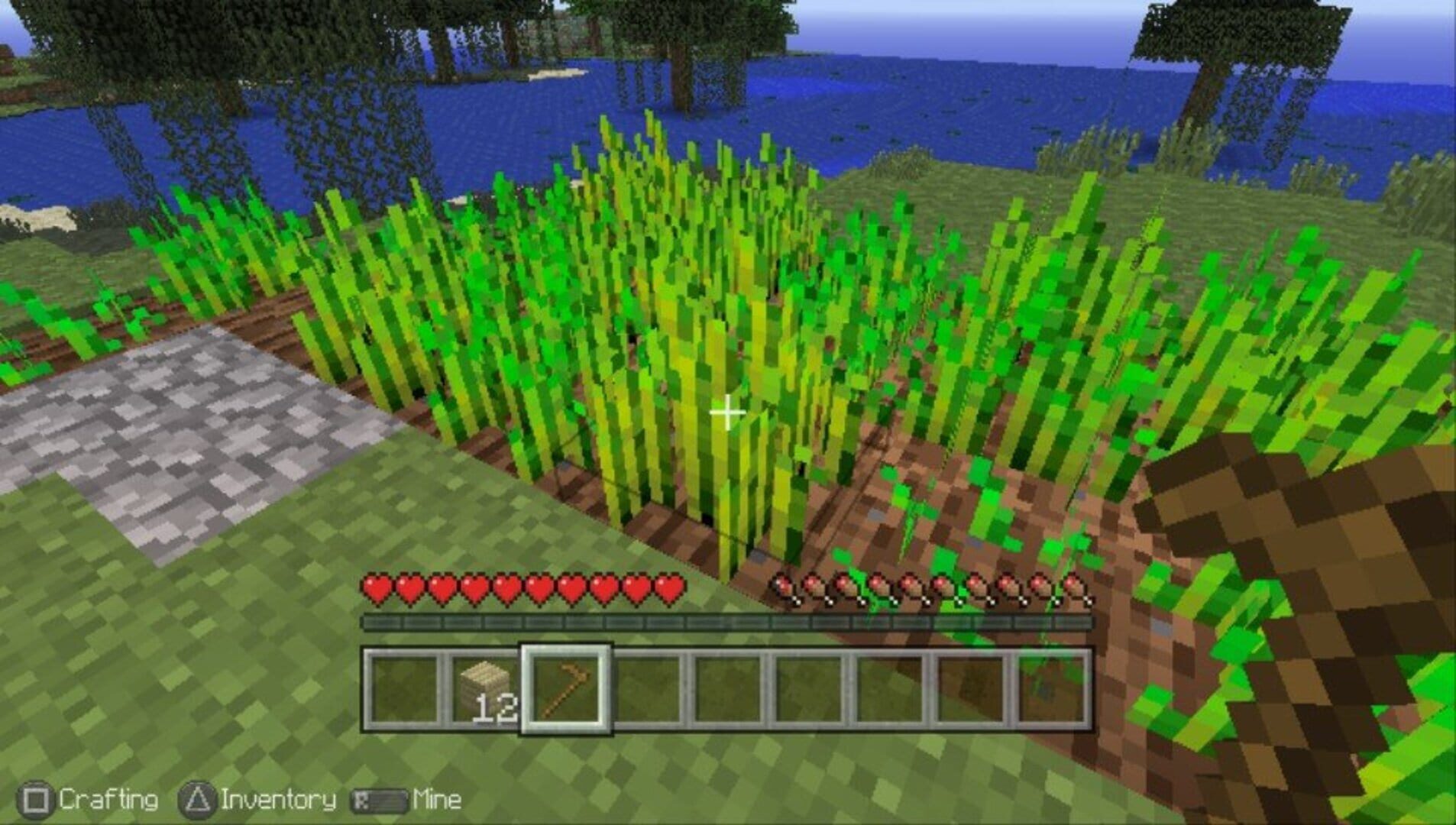 Illustration de Minecraft: Playstation Vita Edition