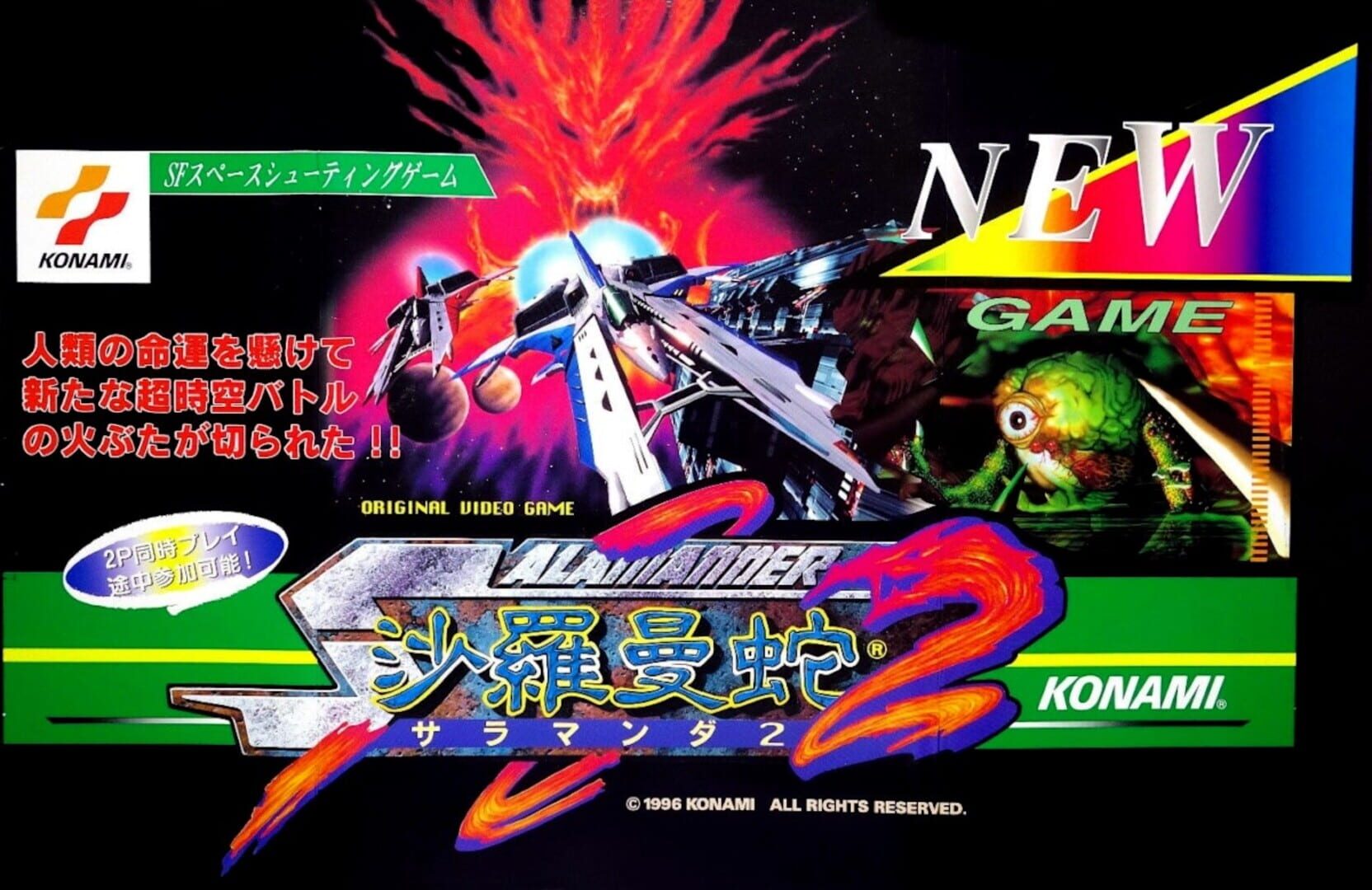 Illustration de Salamander 2