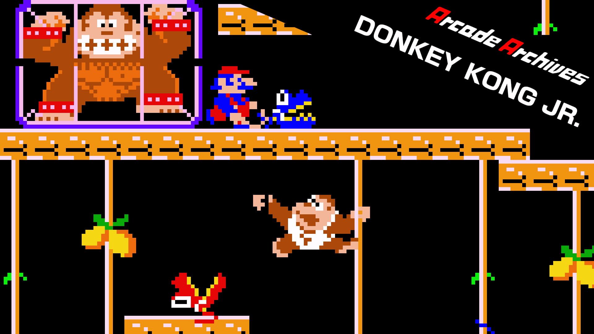 Illustration de Arcade Archives: Donkey Kong Jr.