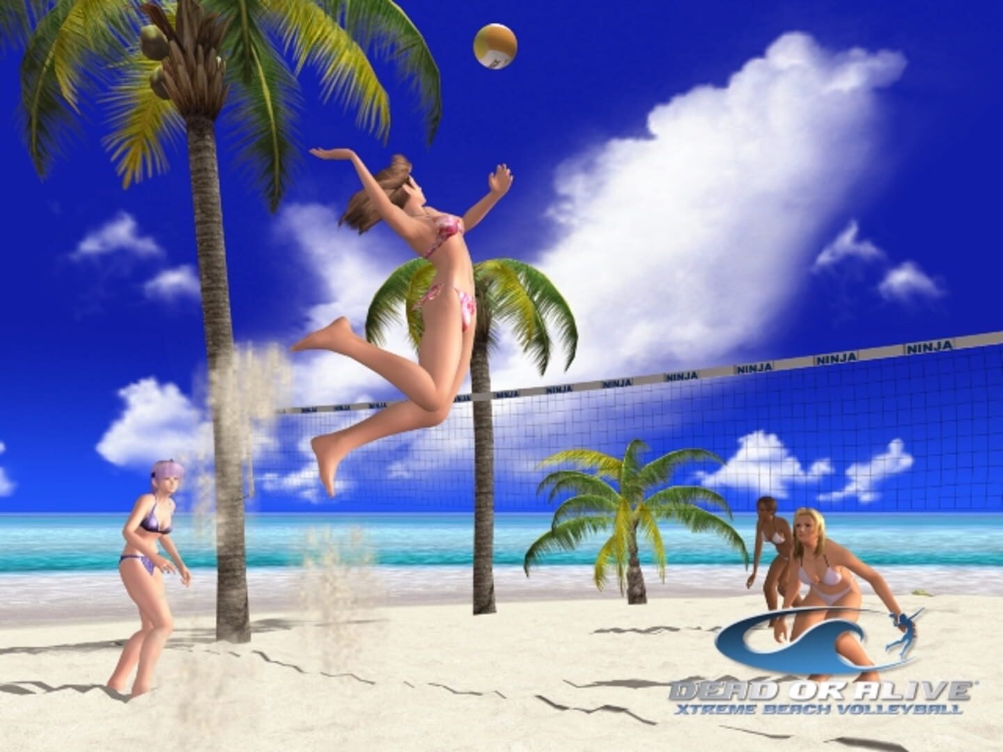 Illustration de Dead or Alive Xtreme Beach Volleyball