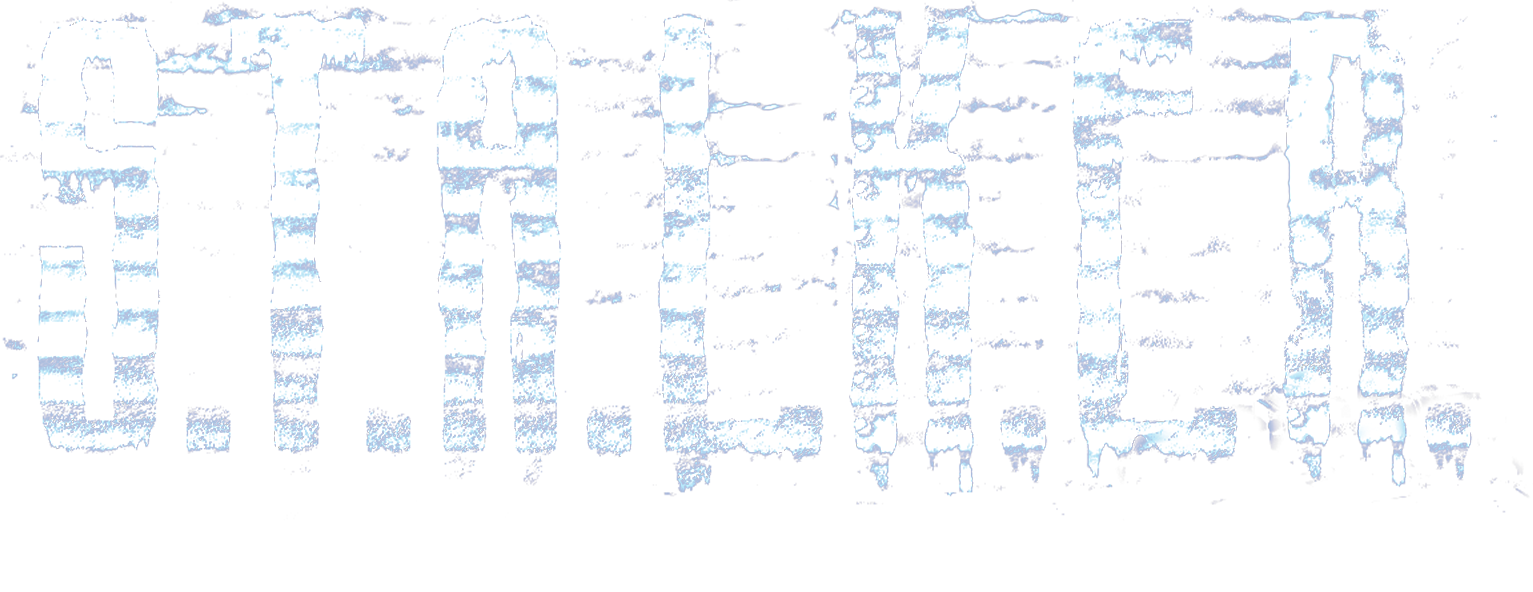 Logo de S.T.A.L.K.E.R.: Shadow of Chernobyl
