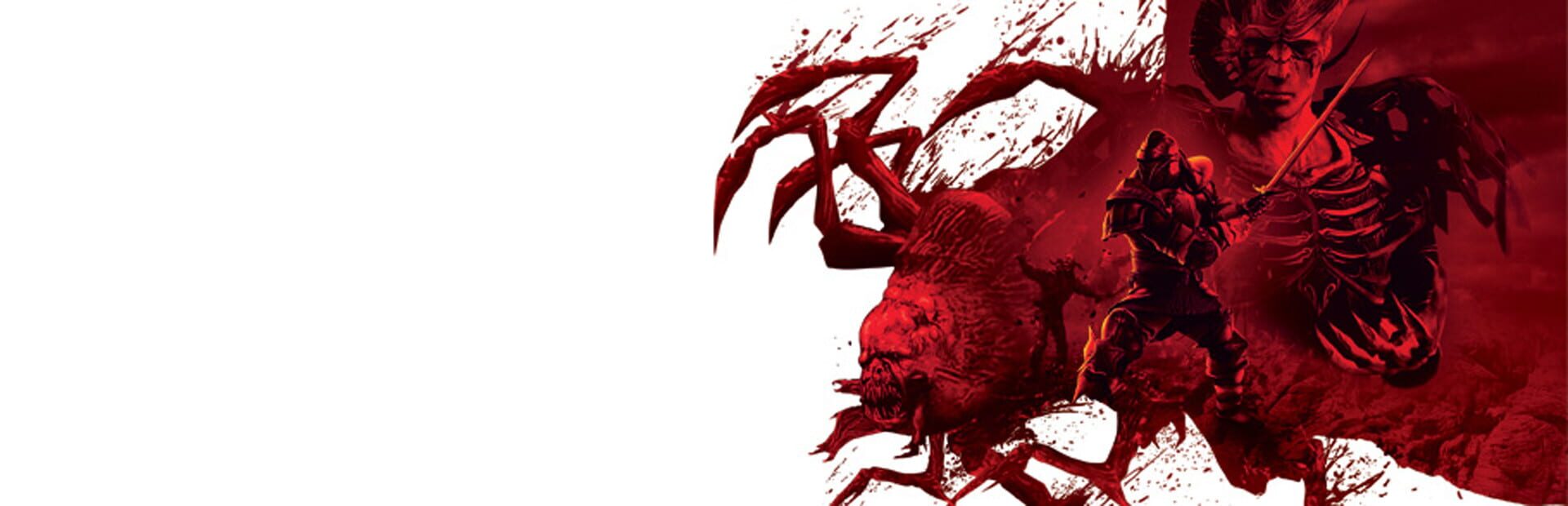 Illustration de Dragon Age: Origins - Awakening