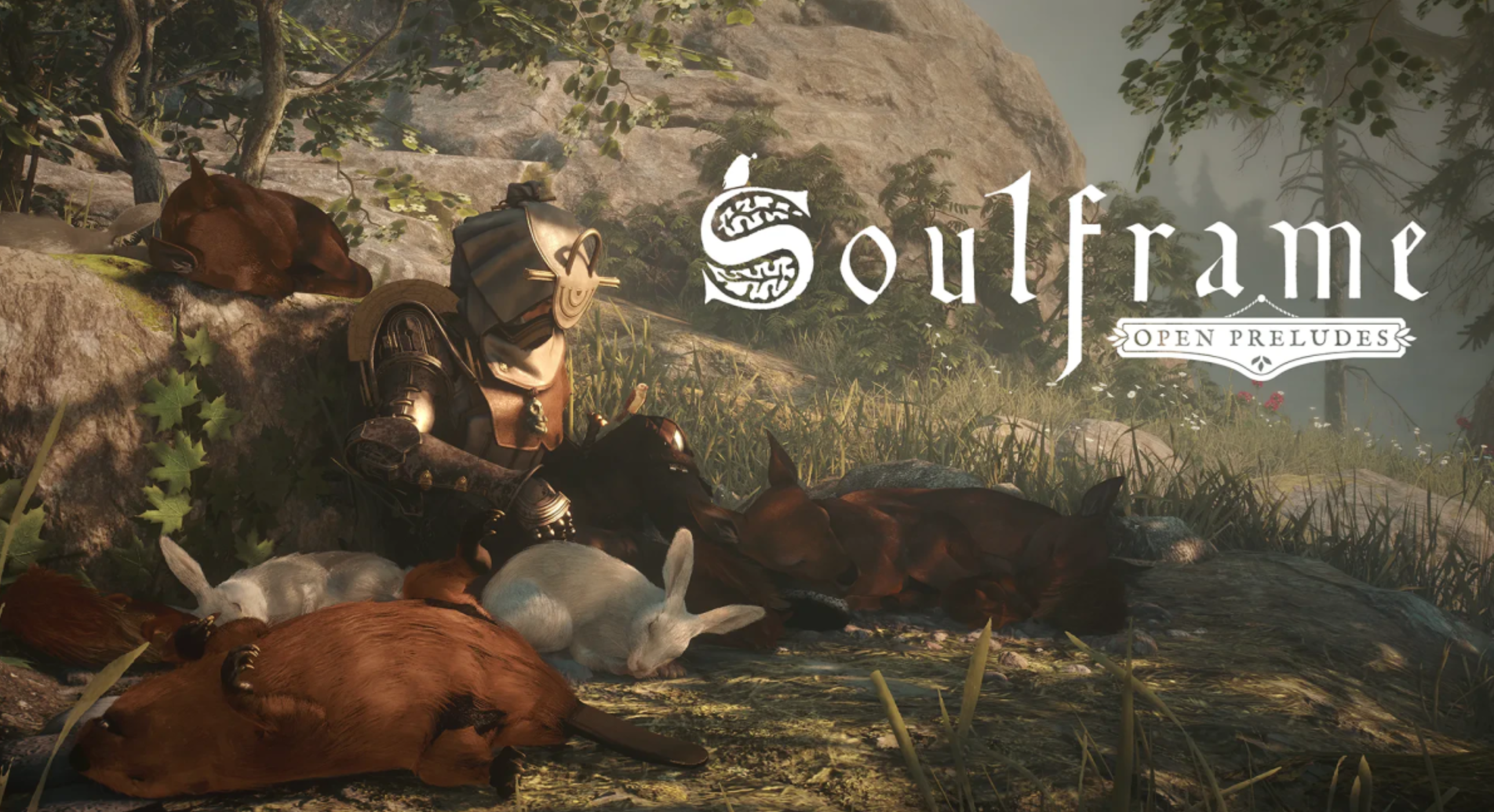 Soulframe