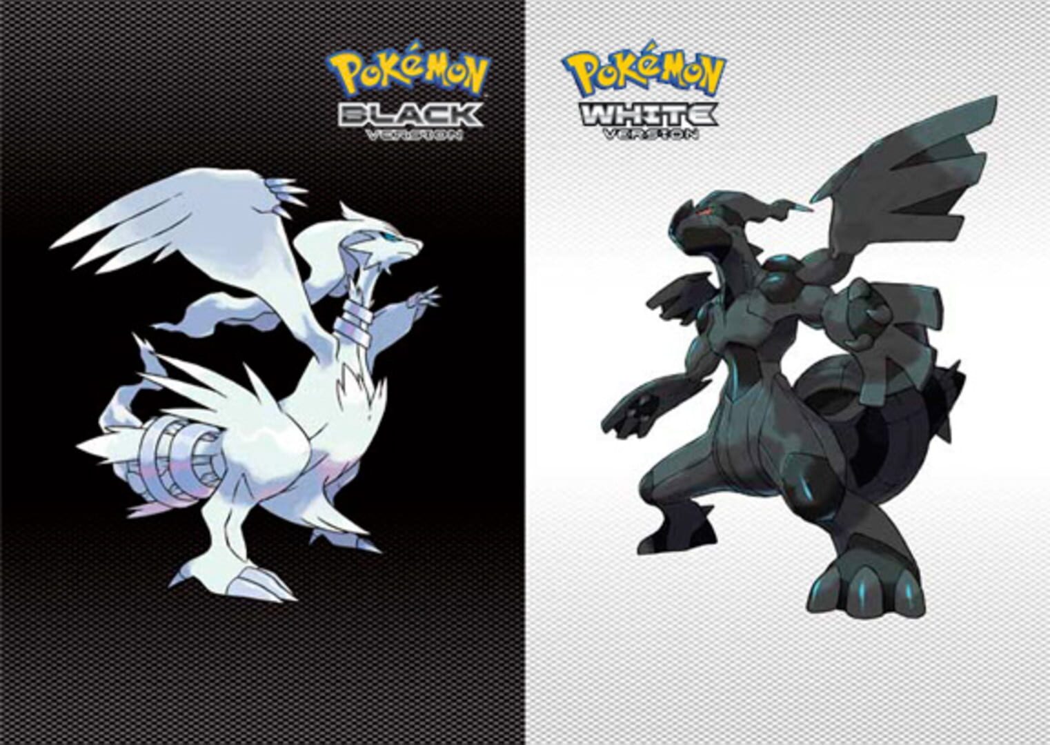 Illustration de Pokémon White Version