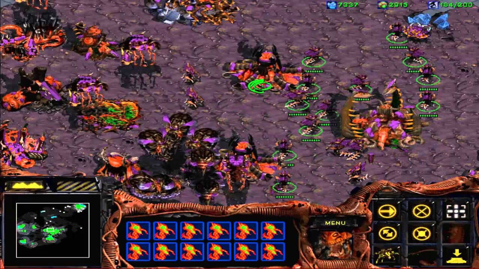 Illustration de StarCraft: Brood War