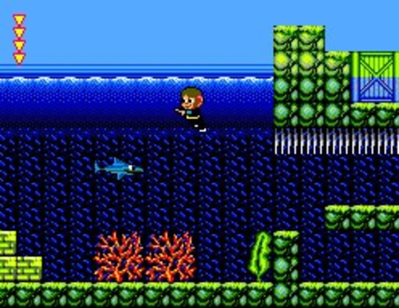 Illustration de Alex Kidd in Shinobi World