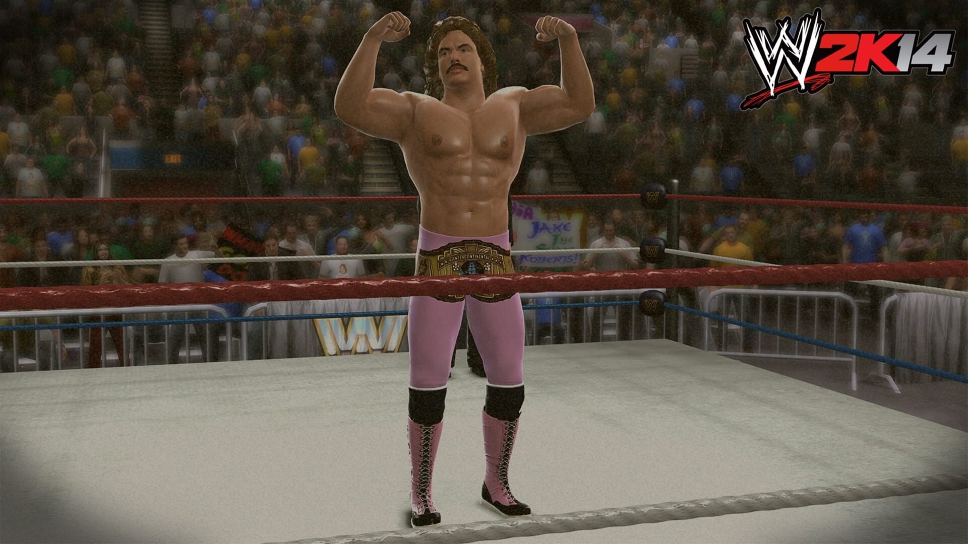 Illustration de WWE 2K14