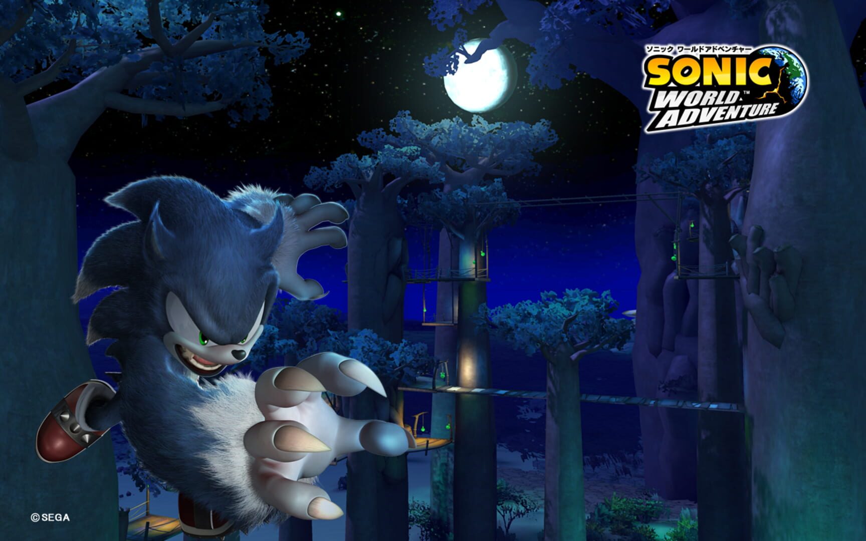 Illustration de Sonic Unleashed