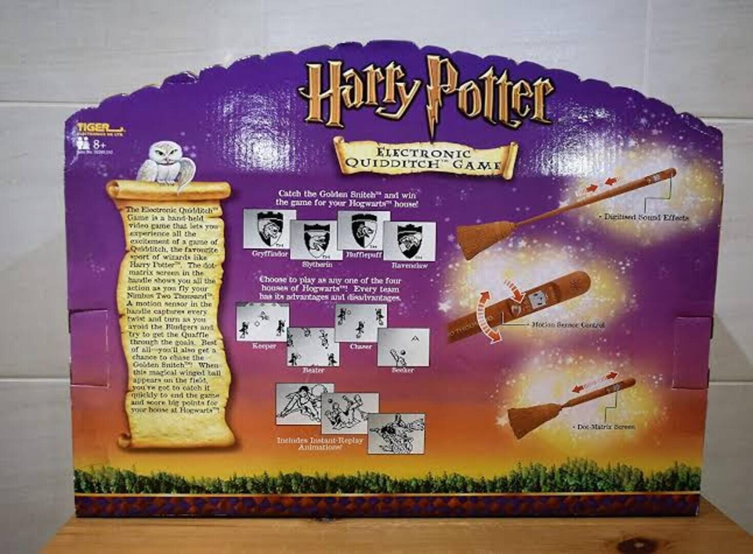 Illustration de Harry Potter: Electronic Quidditch Game