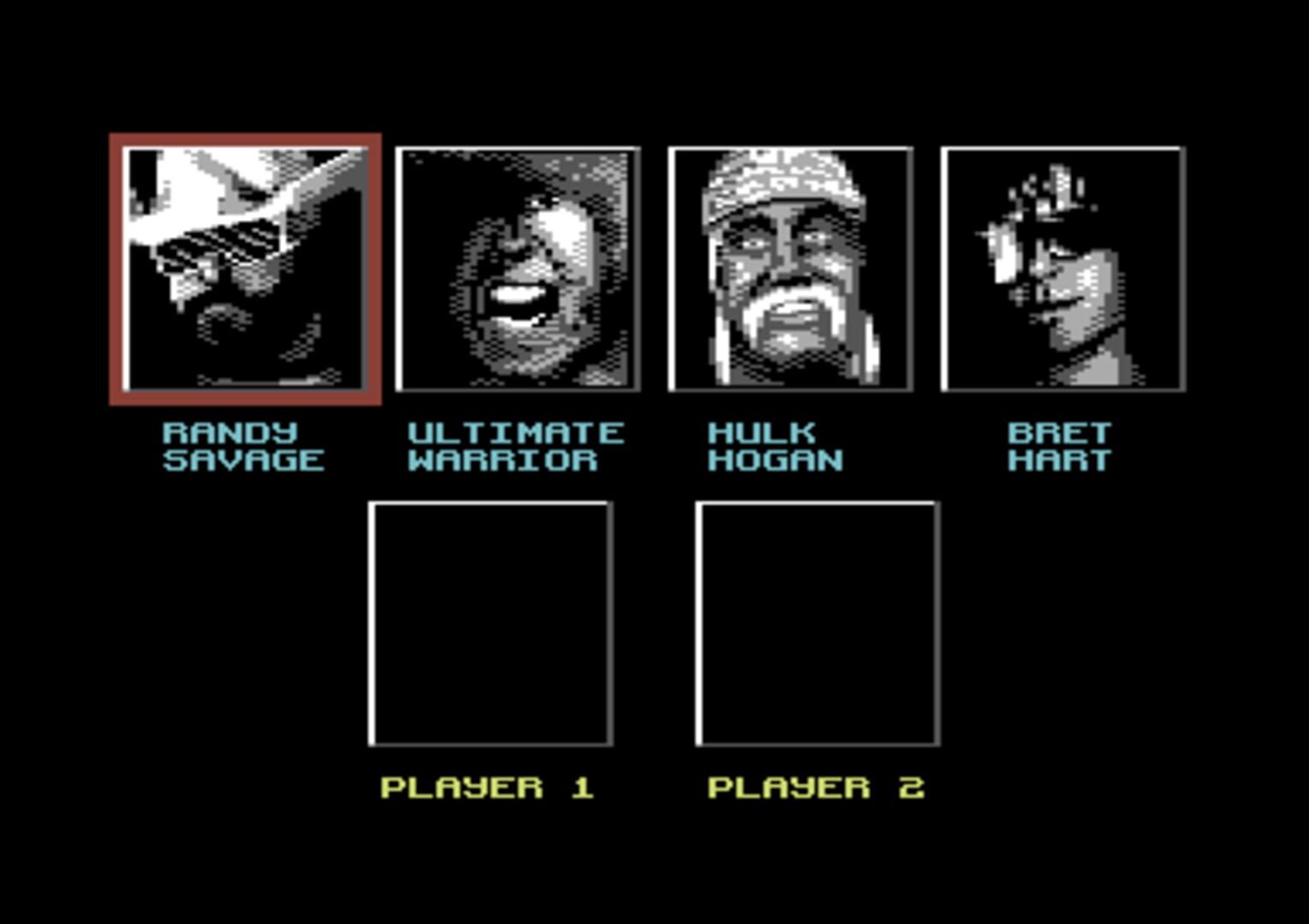 Illustration de WWF European Rampage Tour