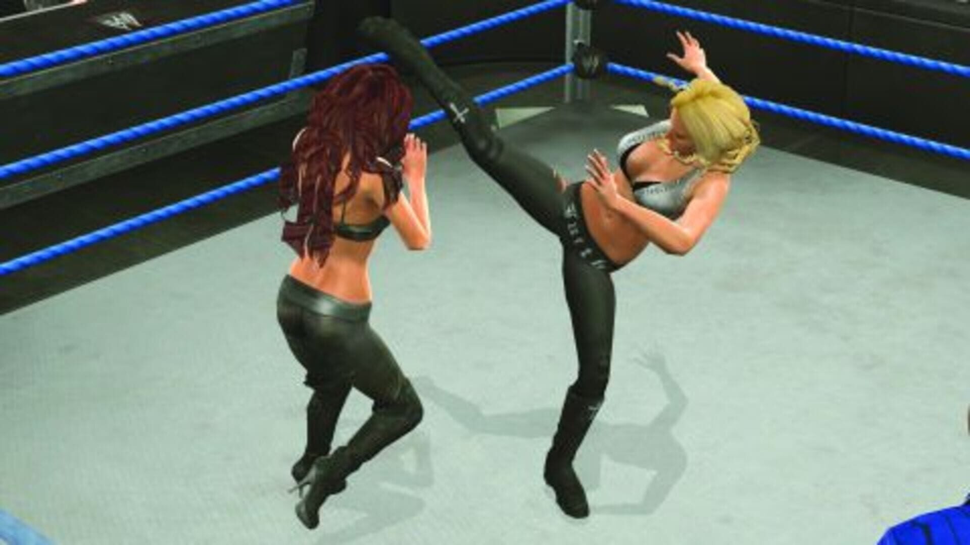Illustration de WWE SmackDown vs. Raw 2009