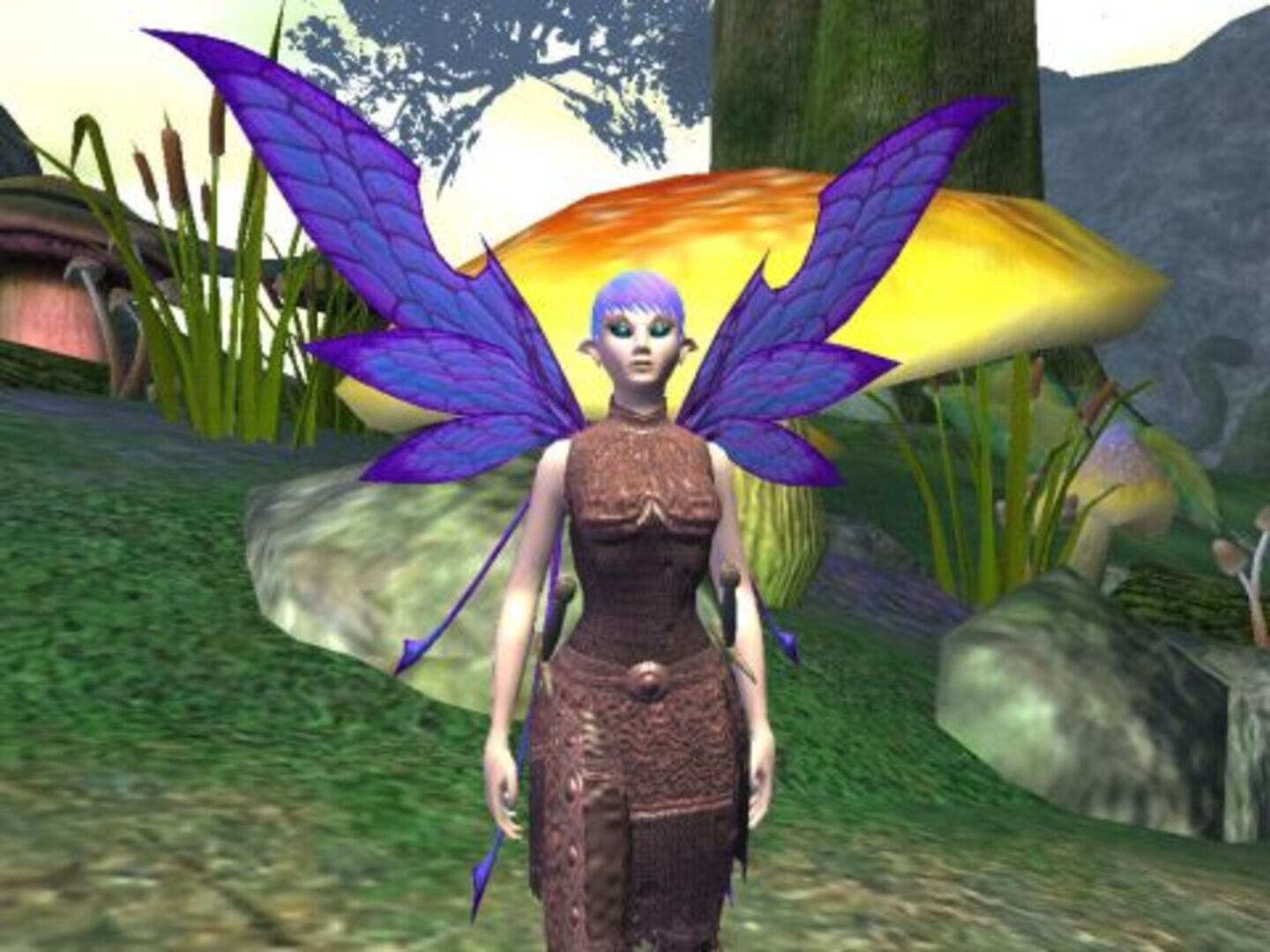 Illustration de EverQuest II: Echoes of Faydwer
