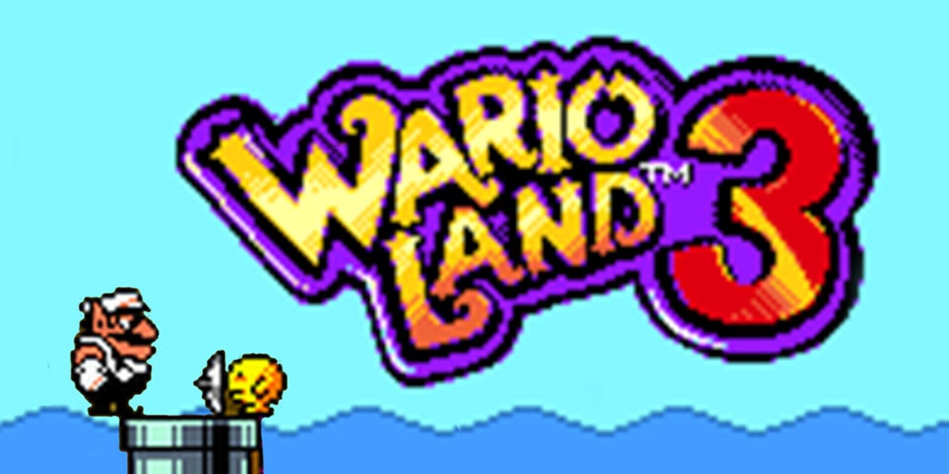 Illustration de Wario Land 3