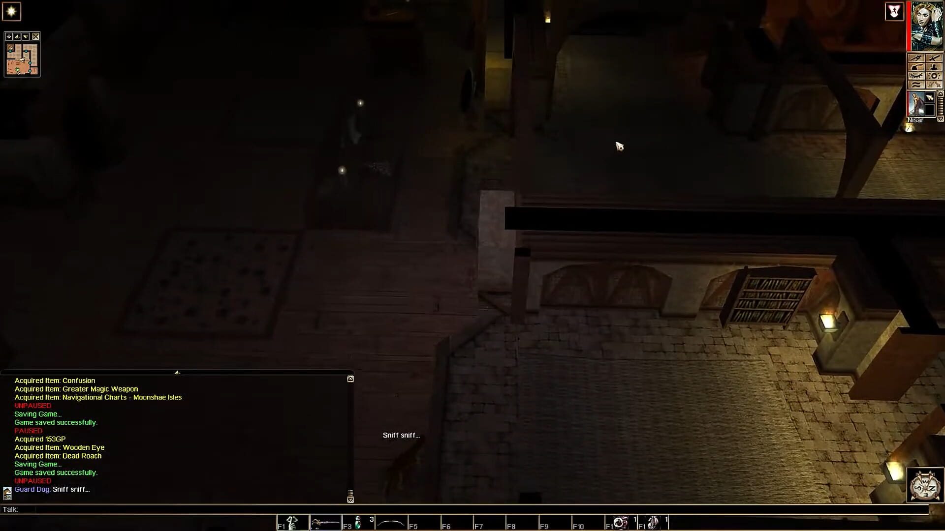 Illustration de Neverwinter Nights: Pirates of the Sword Coast