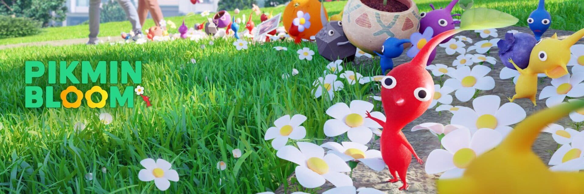 Illustration de Pikmin Bloom