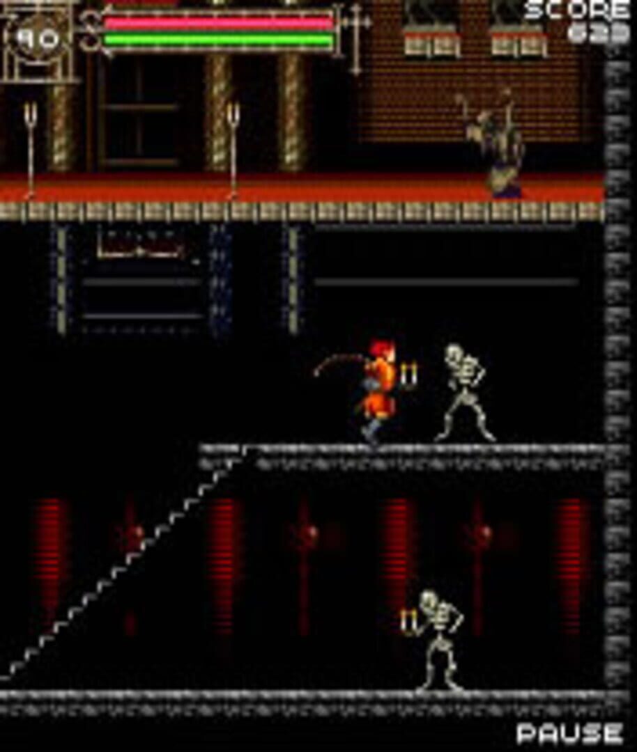 Illustration de Castlevania: Order of Shadows