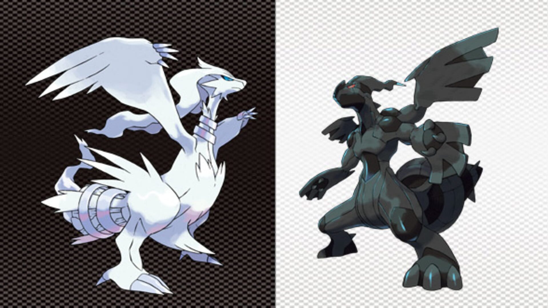 Illustration de Pokémon Black Version