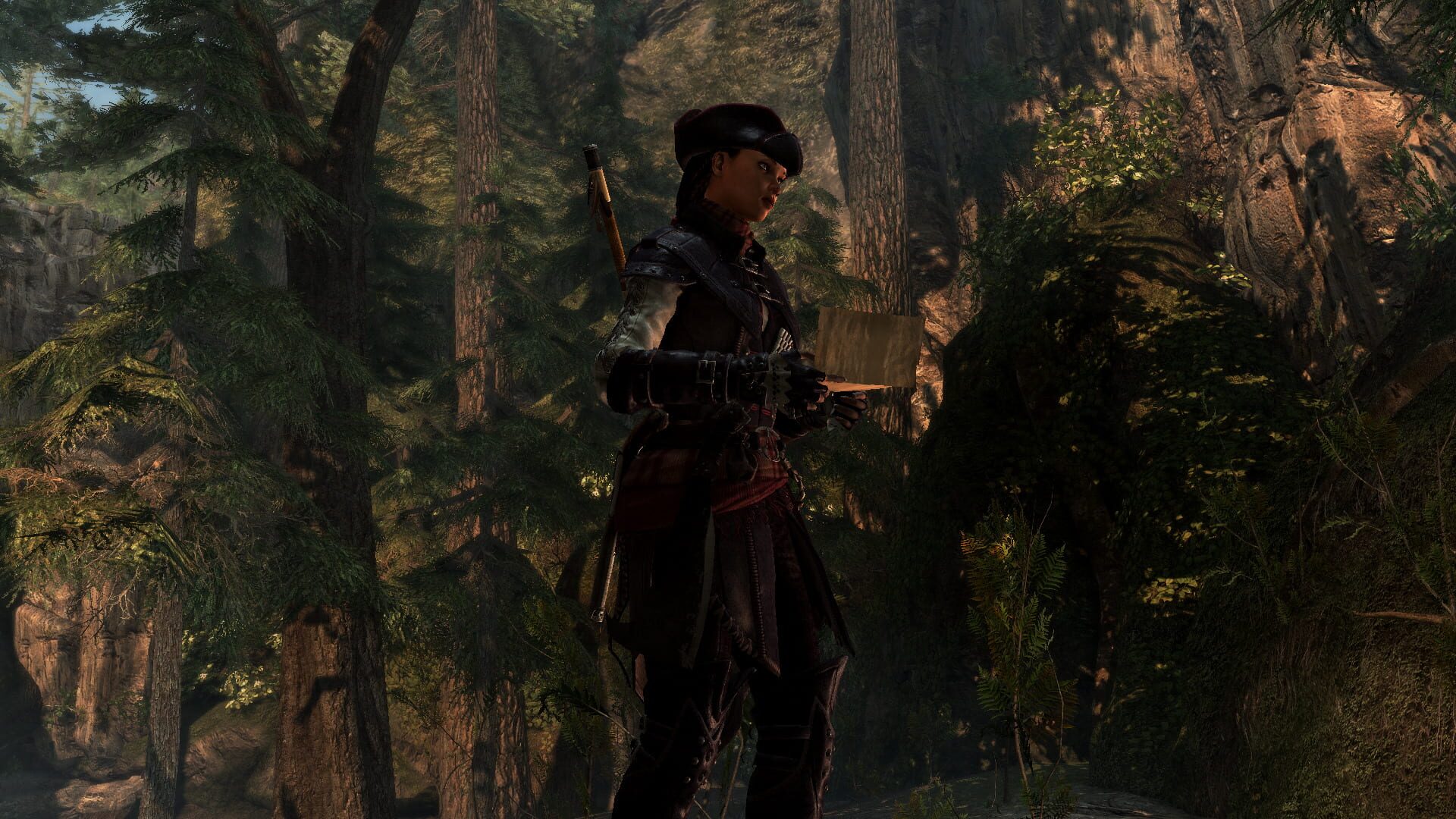 Illustration de Assassin's Creed IV Black Flag: Aveline