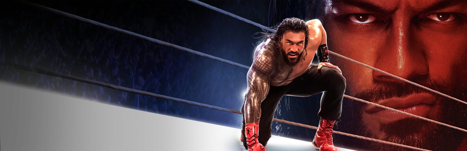 Illustration de WWE 2K25