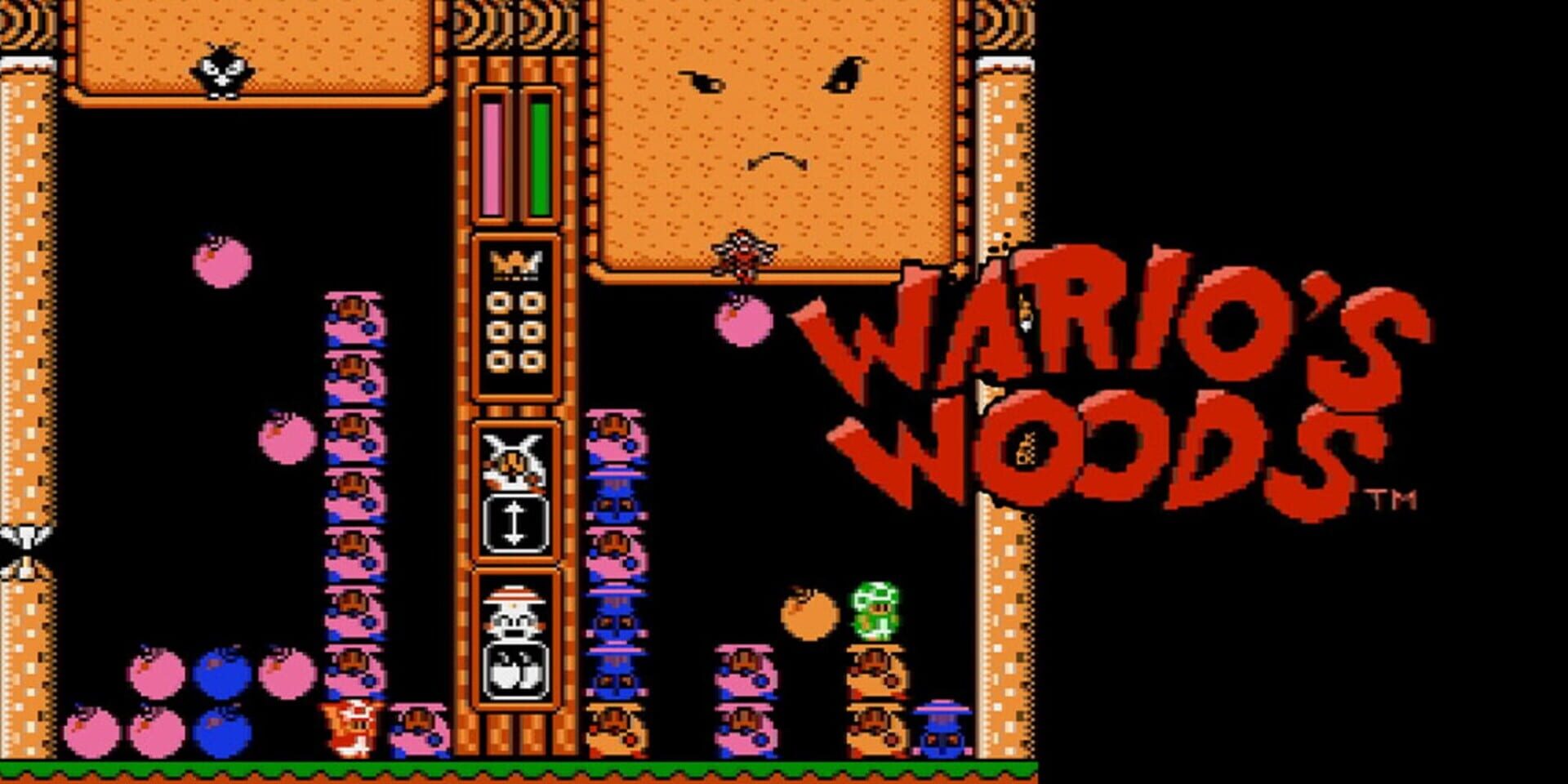Illustration de Wario's Woods