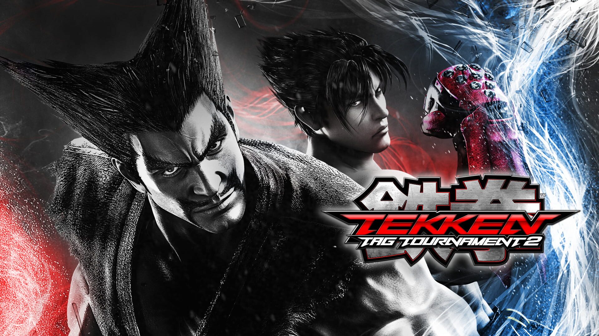 Illustration de Tekken Tag Tournament 2