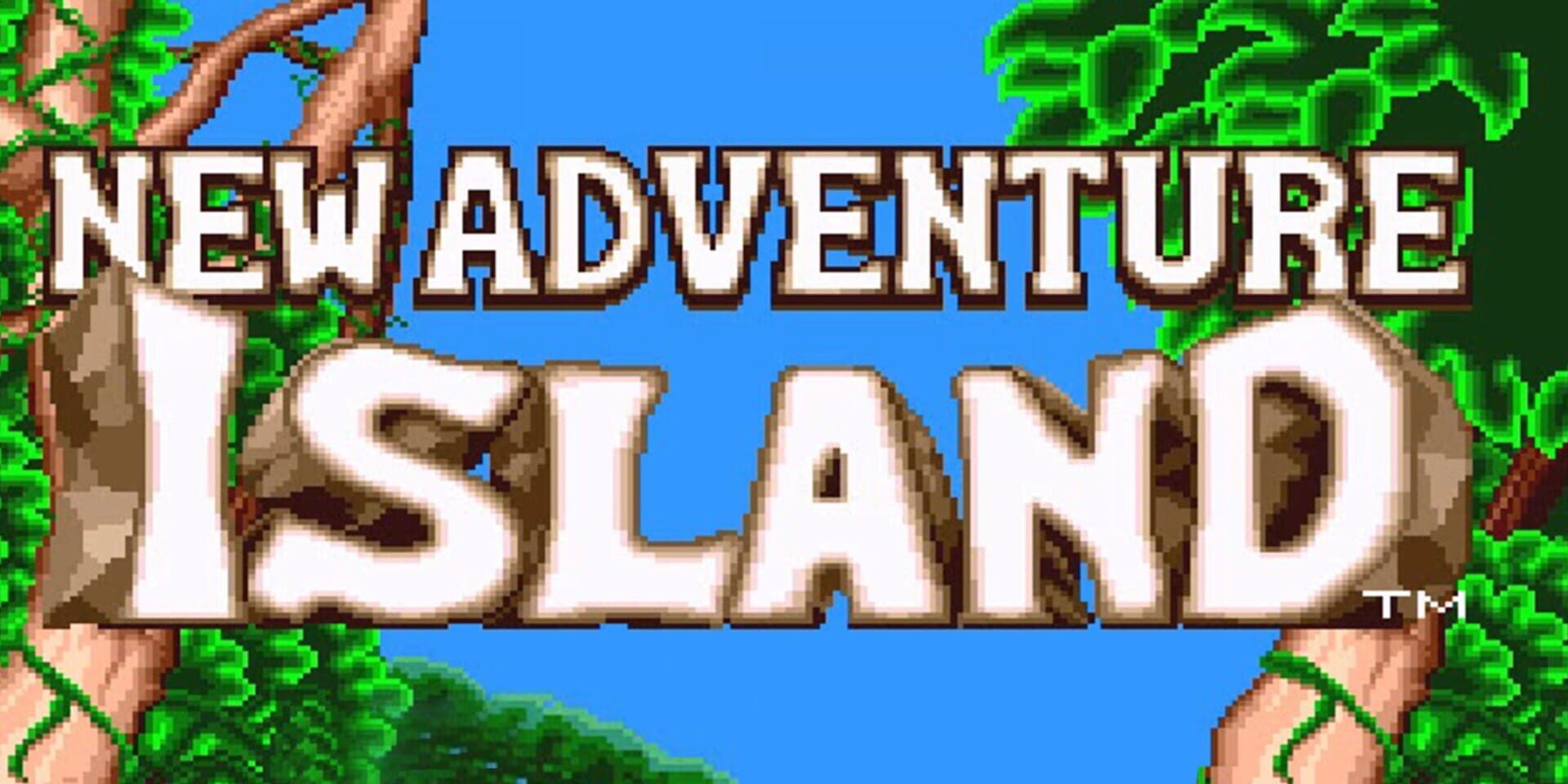 Illustration de New Adventure Island