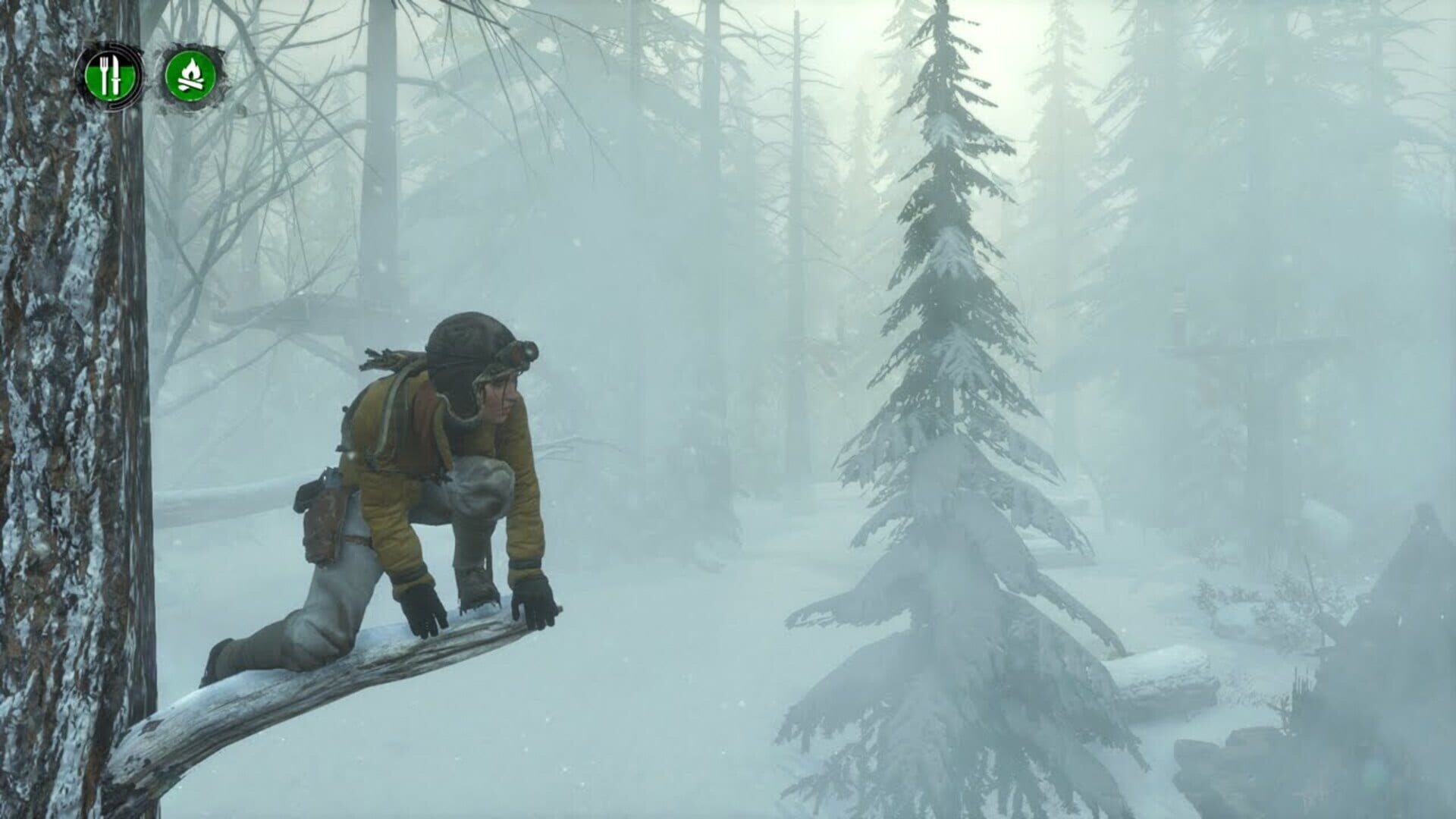 Illustration de Rise of the Tomb Raider: Endurance Mode