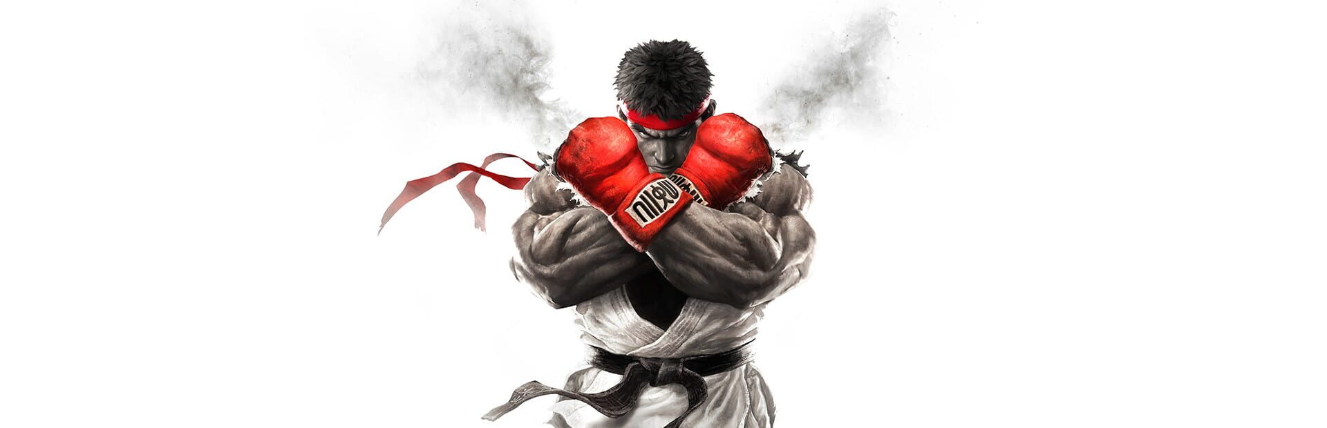 Illustration de Street Fighter V
