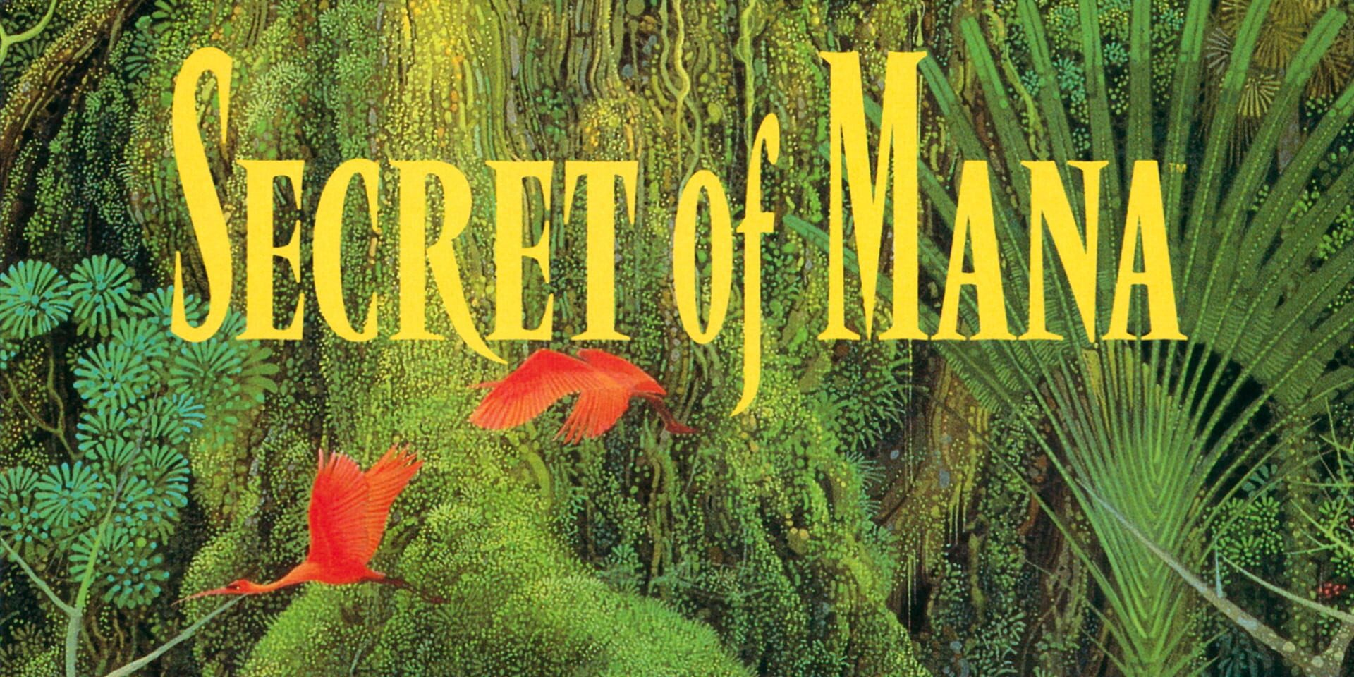 Illustration de Secret of Mana