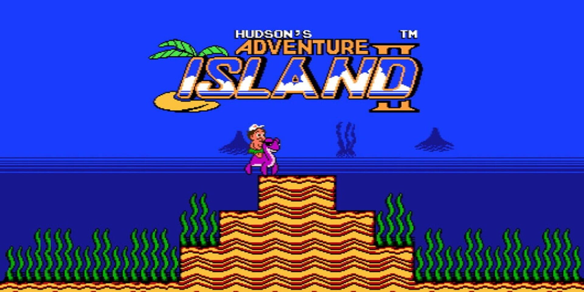 Illustration de Adventure Island II