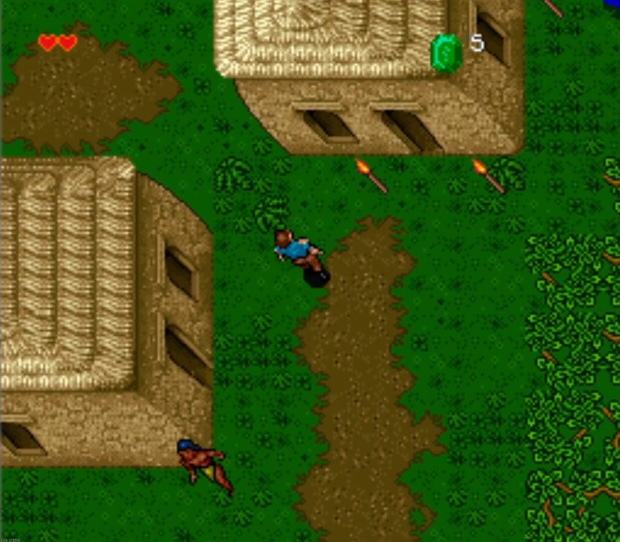 Illustration de Ultima: The Savage Empire