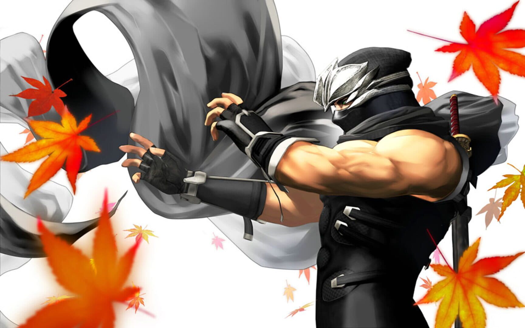 Illustration de Dead or Alive: Dimensions