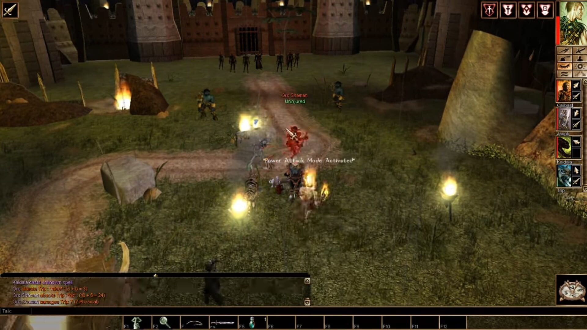 Illustration de Neverwinter Nights: Kingmaker
