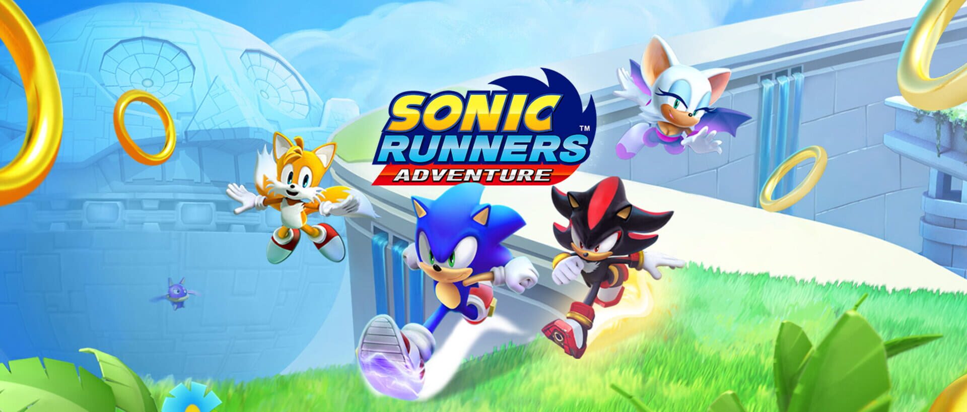 Illustration de Sonic Runners Adventure