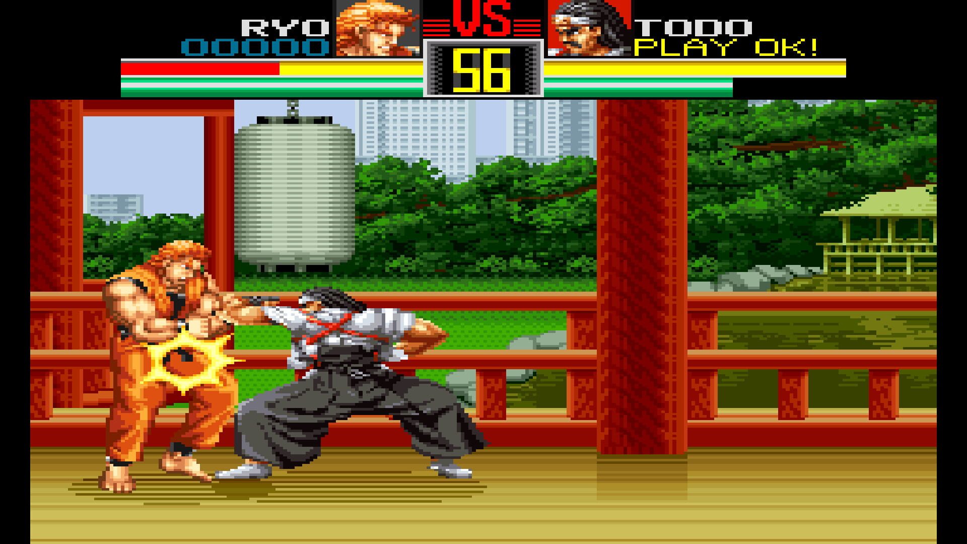 Illustration de Art of Fighting