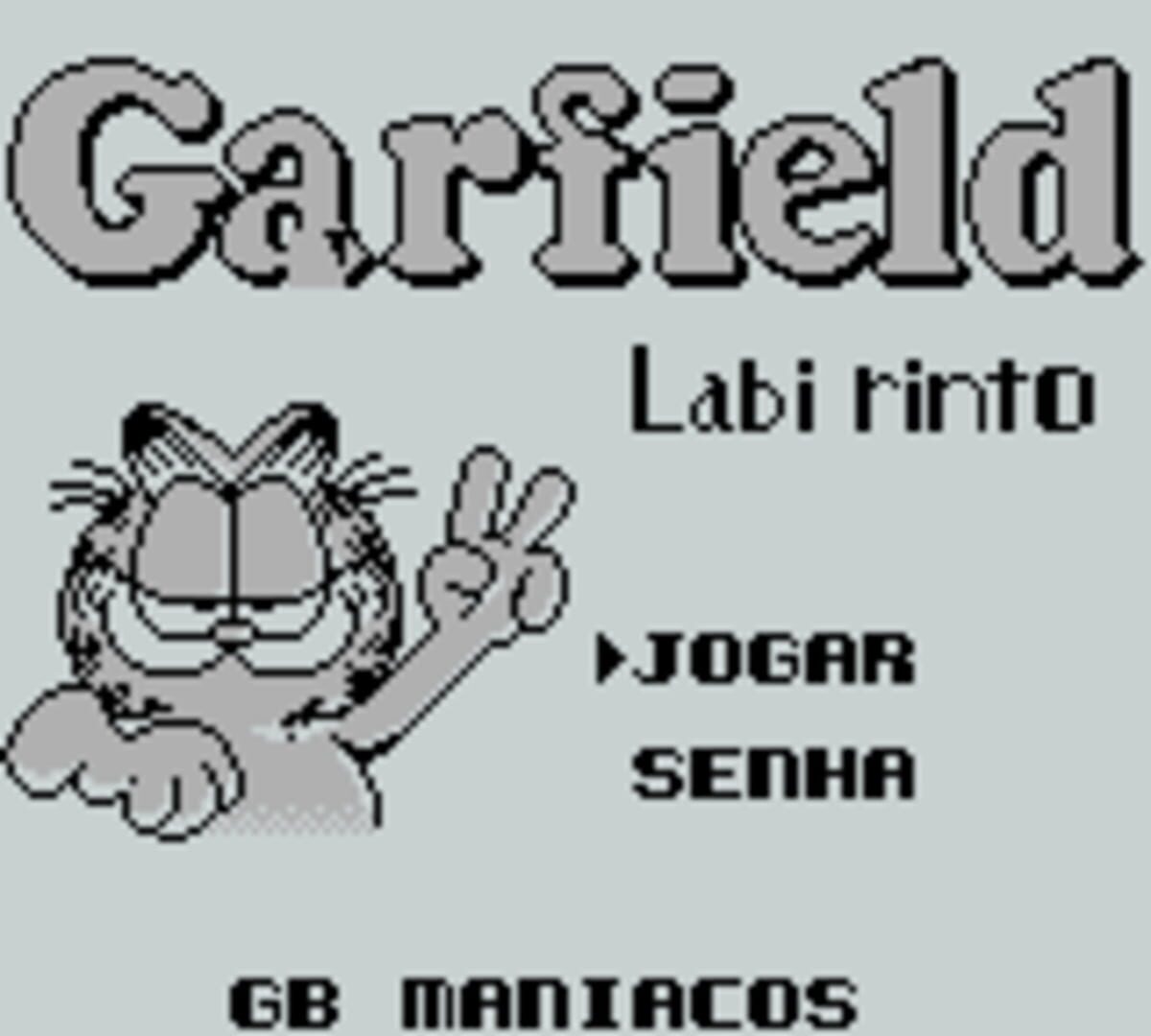 Illustration de Garfield Labyrinth