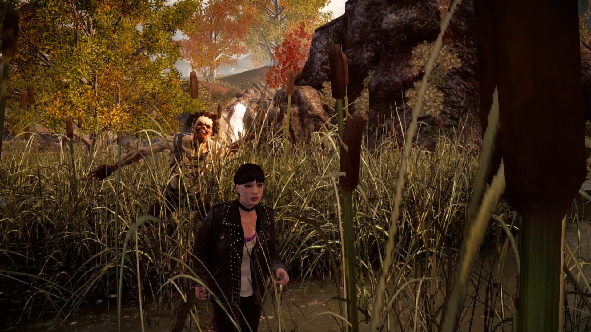 Illustration de State of Decay: Breakdown