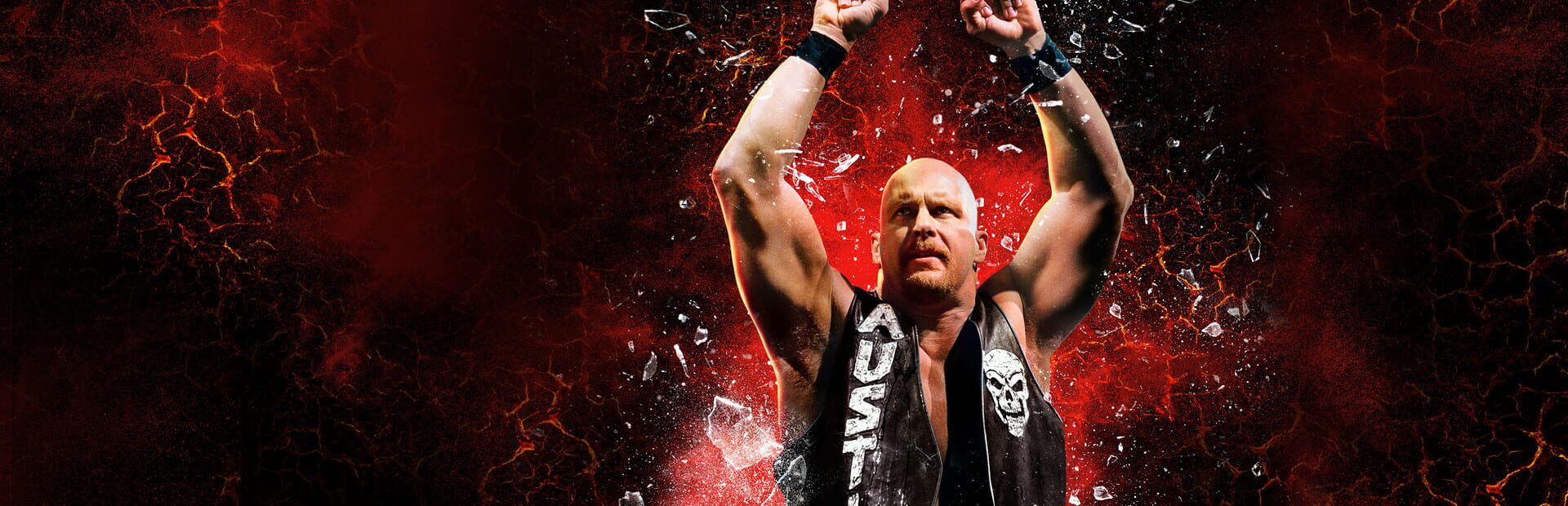 Illustration de WWE 2K16