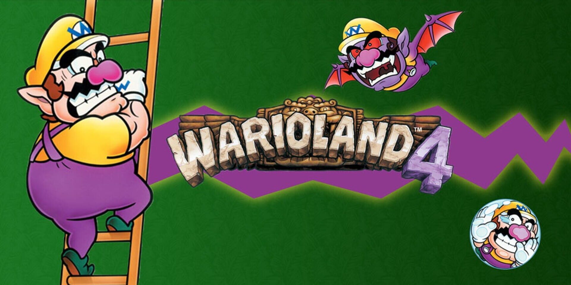Illustration de Wario Land 4
