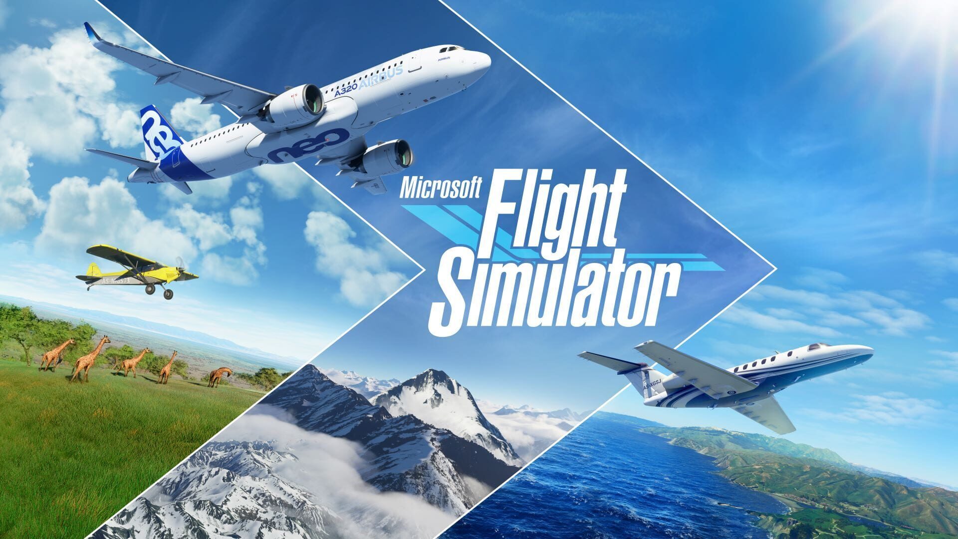 Illustration de Microsoft Flight Simulator