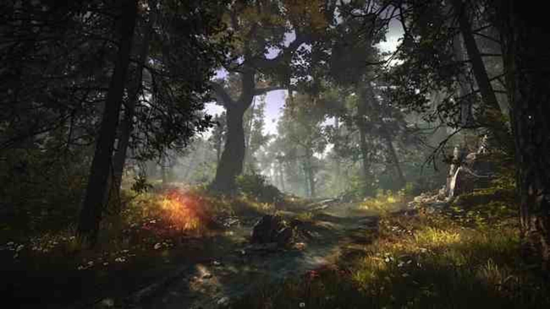 Illustration de The Witcher 2: Assassins of Kings - Enhanced Edition