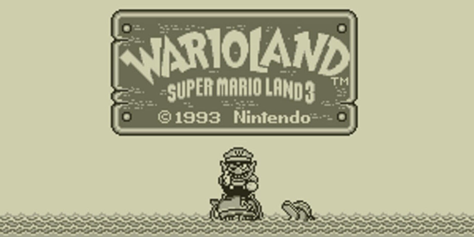 Illustration de Wario Land: Super Mario Land 3