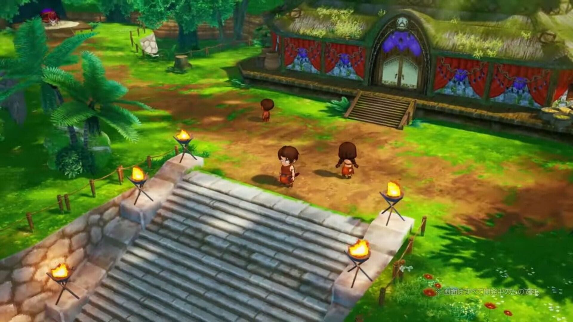 Illustration de Dragon Quest X: Mezameshi Itsutsu no Shuzoku Offline