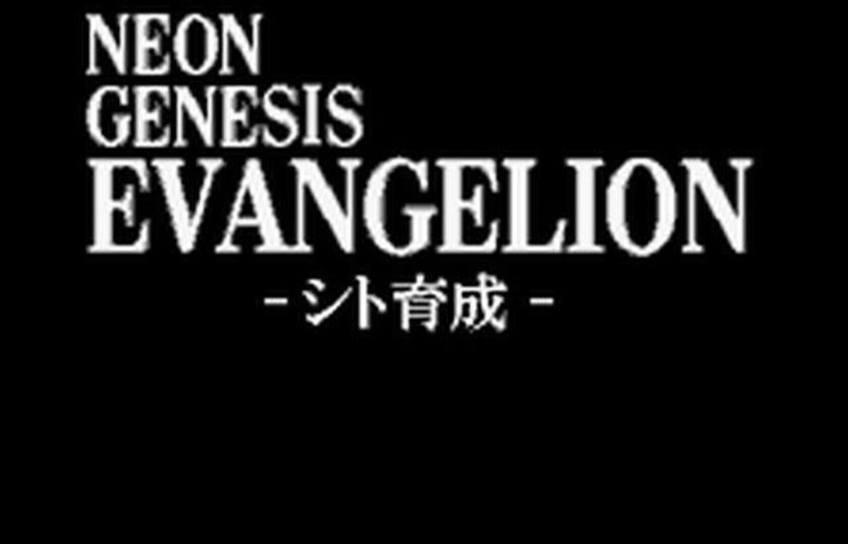 Illustration de Neon Genesis Evangelion: Shito Ikusei