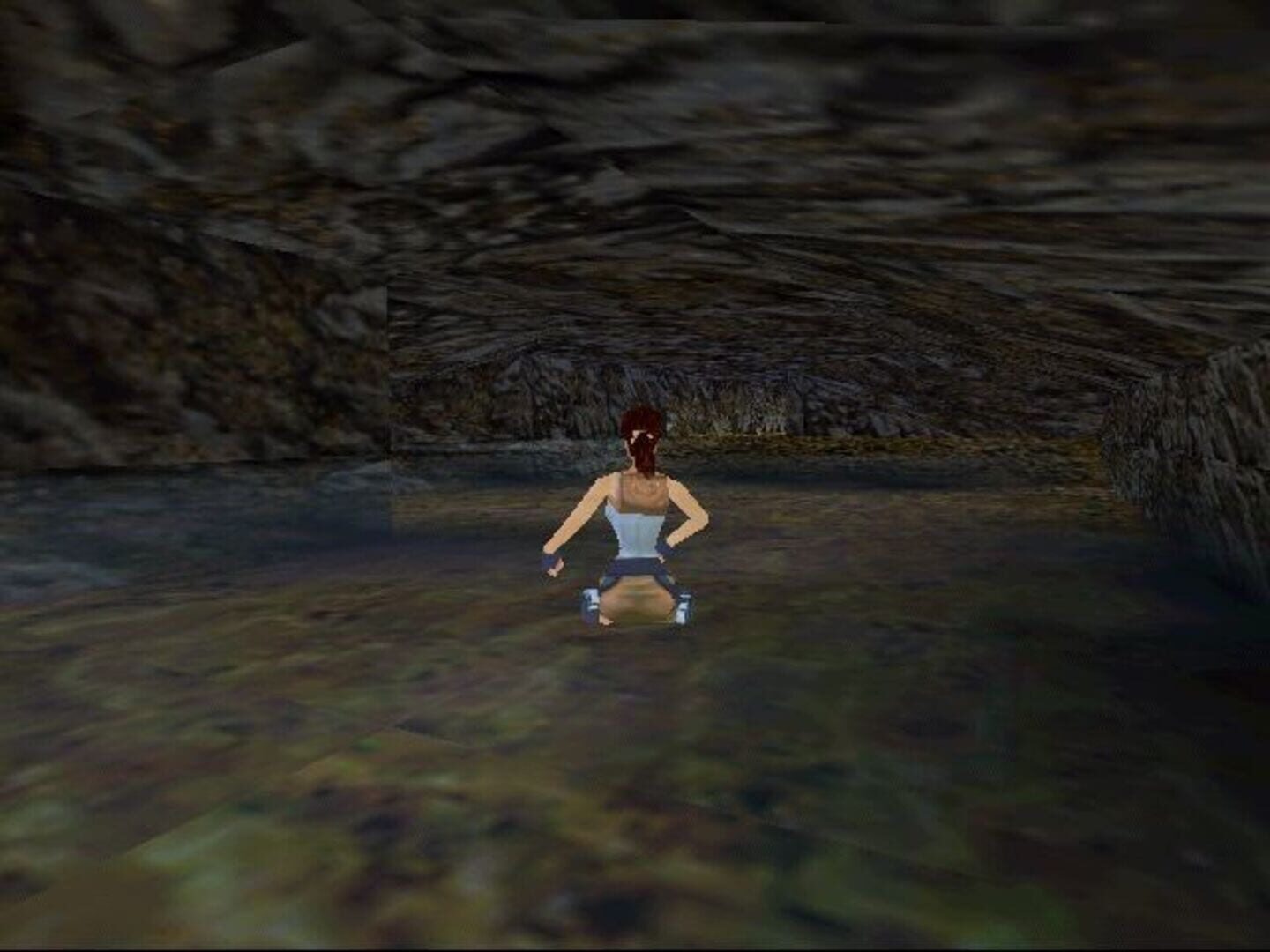 Illustration de Tomb Raider: The Lost Artifact